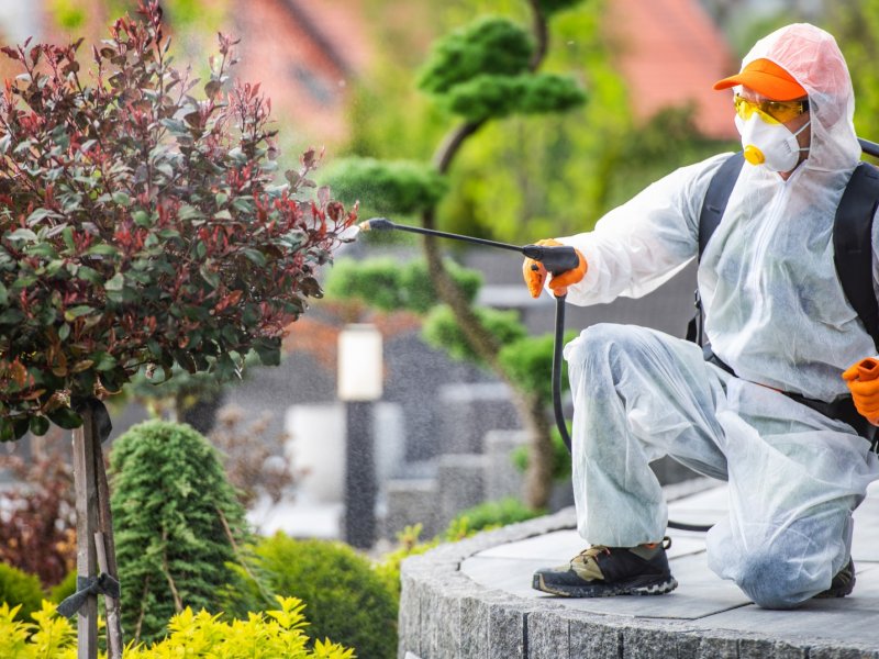 Akhisar Haşere İlaçlama